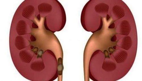 How to diagnose and treat interstitial nephritis?