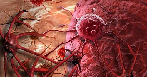 Nhiễm khuẩn âm đạo và herpes sinh dục có làm tăng nguy cơ ung thư?