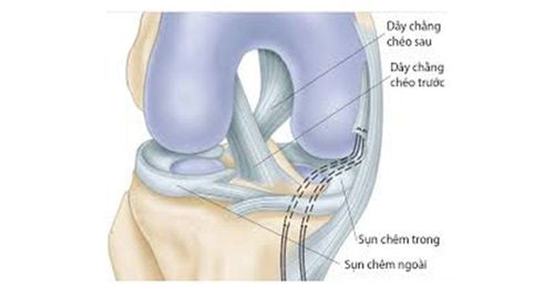 Sử dụng gân tự thân trong tạo hình dây chằng chéo khớp gối