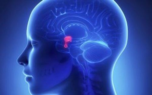 Laparoscopic surgery to remove pituitary tumors through the sphenoid line