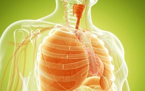 Vật lý trị liệu trong phục hồi bệnh hô hấp