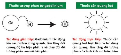 Thuốc tương phản từ Gadolinium sử dụng trong kỹ thuật chụp cộng hưởng từ (MRI) - P1