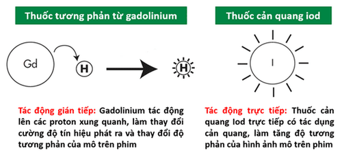 Gadolinium contrast agent used in magnetic resonance imaging (MRI) - P1