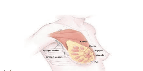 Difference between engorgement and blocked milk ducts