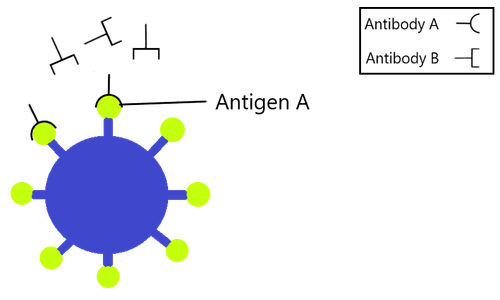 Antigen relationship