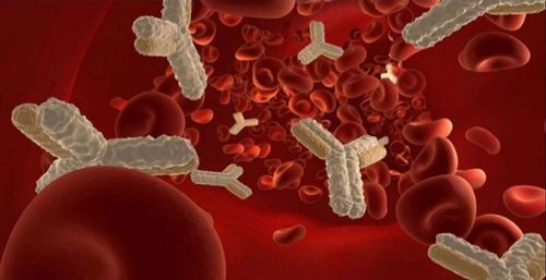 Nonspecificity of the humoral immune response