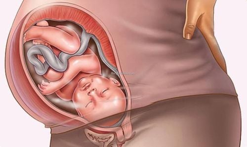 The meaning of determining the fetal position in labor and birth