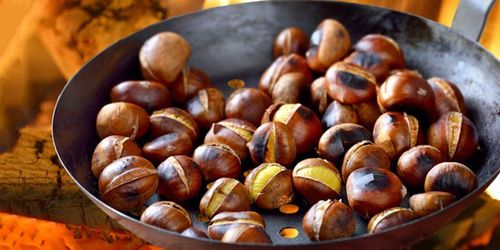 Nutritional value of chestnuts