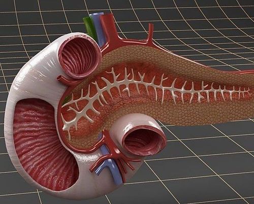 
Loại bỏ tá tràng ra khỏi đường tiêu hóa đối với phương pháp phẫu thuật cắt bỏ
