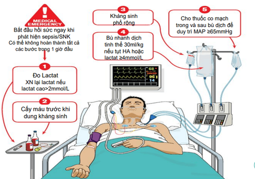 
Gói 1 giờ bắt đầu hồi sức sepsis và sốc nhiễm khuẩn
