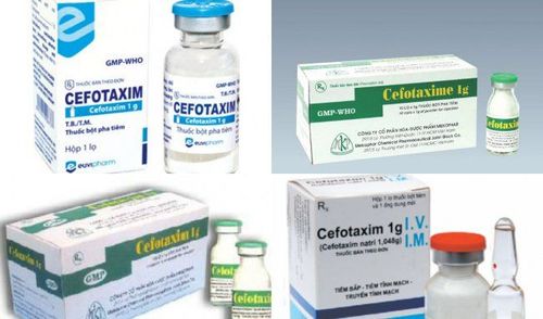 Instructions on how to make cefotaxime antibiotics