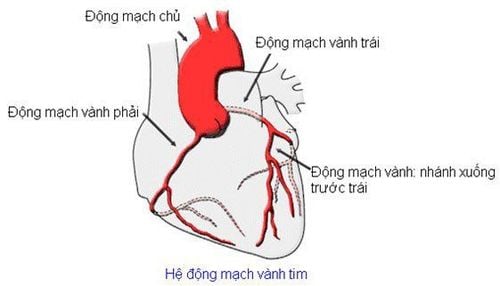 
Bệnh nhân bị động mạch vành cần chống chỉ định dùng thuốc
