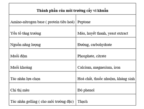 Non-culture techniques for the diagnosis of infections in the laboratory - Part 2