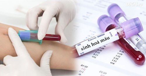 What is a blood chemistry test?