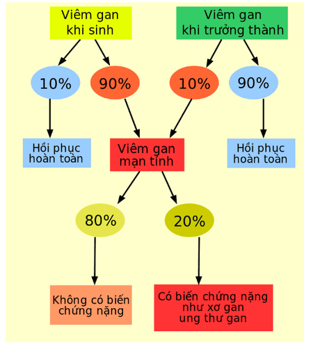 Hepatitis B virus and its transmission routes