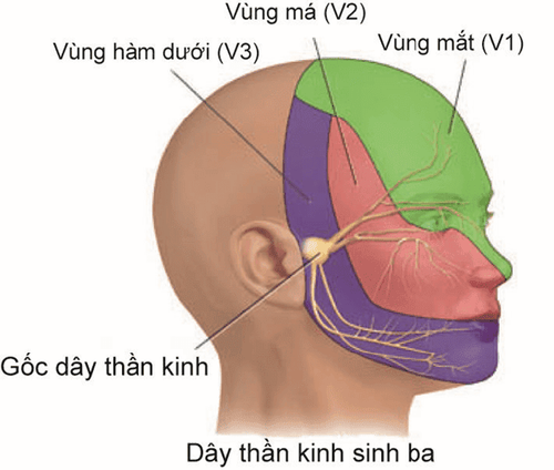 Notes on neurological examination