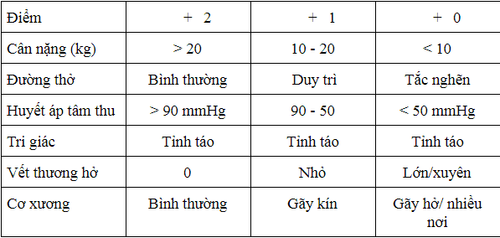 
Thang điểm chấn thương trẻ em
