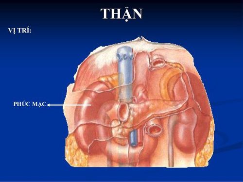 
Nang thận thường lành tính chiếm 95%, chứa dịch trong vàng chanh, thường đơn độc, 1 bên
