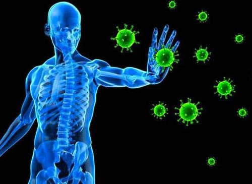 
Hệ miễn dịch đóng vai trò chống lại vi khuẩn, virus
