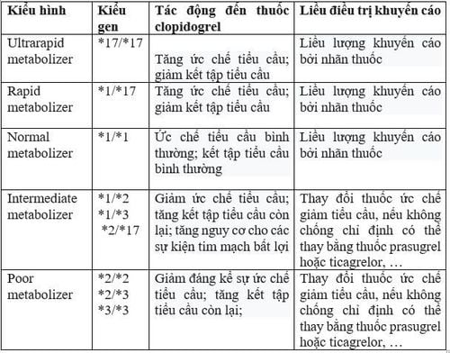 
Bảng ví dụ về mối tương quan giữa kiểu gen, kiểu hình và liều điều trị cho từng cá thể
