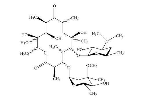 Learn about macrolide antibiotics