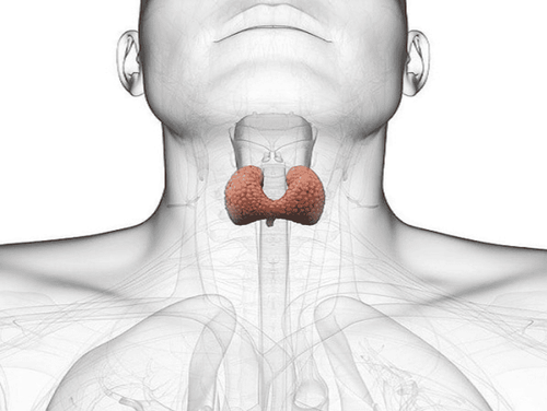 Complications from laryngotracheal mask anesthesia laparoscopic proximal total thyroidectomy in Basedow's disease