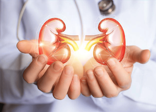 Diet for patients with chronic kidney failure without dialysis