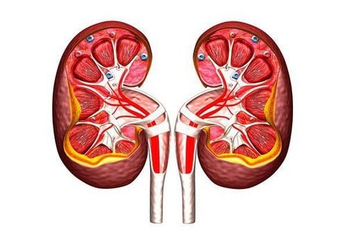 Safe use of pain relievers in people with chronic kidney disease