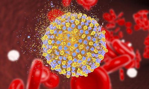 What is hepatitis E virus?