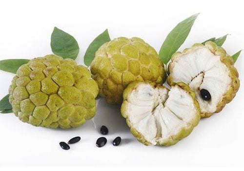 Nutritional value of custard apple