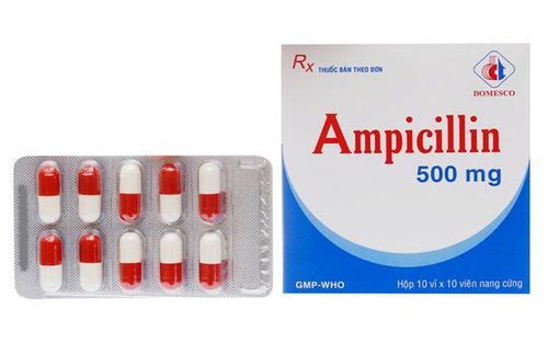 Thuốc Ampicillin 500mg: Cách dùng và lưu ý khi sử dụng