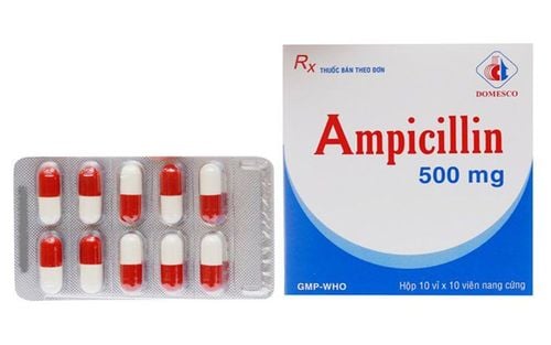 Ampicillin: Uses, dosages and side effects