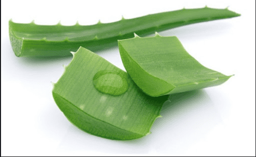 Aloe vera for weight loss: Benefits and side effects