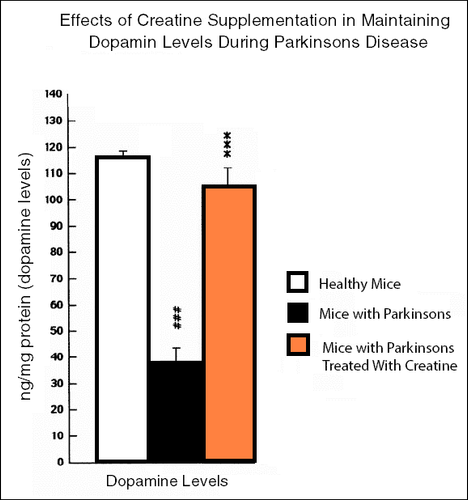 10 graphs showing the great power of Creatine