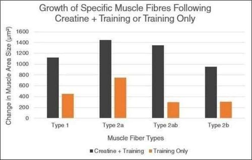 10 graphs showing the great power of Creatine