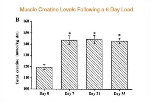 10 graphs showing the great power of Creatine