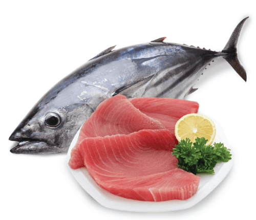 Is it good to eat raw tuna?