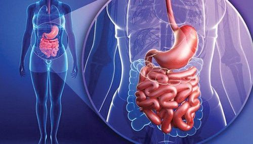 Part 1: The effect of the intestine in the treatment of metabolic diseases. Drugs and future prospects