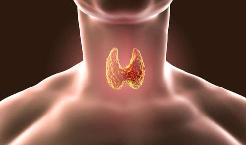 Cytology of the thyroid gland according to the bethesda classification system