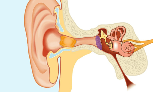 What is earwax? Why are there earwax plugs?