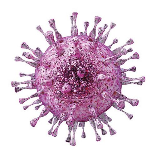 
Nha đam có tác dụng điều trị vết loét lạnh do virus herpes gây ra
