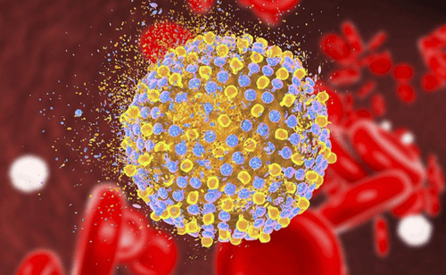 
Virus HIV
