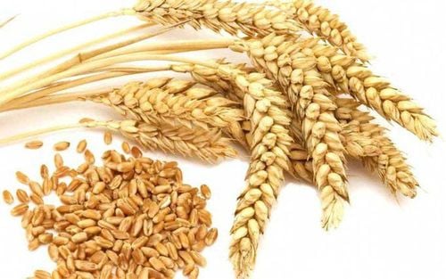 Is Barley Good for You? Nutrition, benefits and how to cook