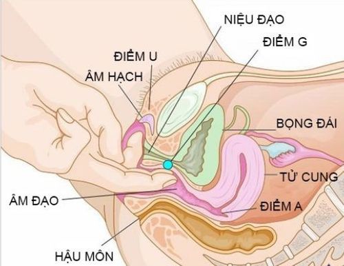 
Người bệnh sử dụng thuốc đặt âm đạo để tự chữa các bệnh phụ khoa
