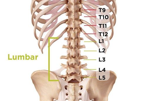 Magnetic resonance imaging procedure of the lumbar spine without injection of magnetic contrast medicine