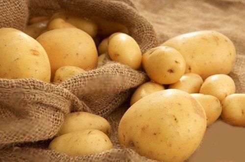 Potatoes and diabetes: Safety, risks and alternatives