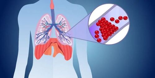 How does blood flow through the lungs?