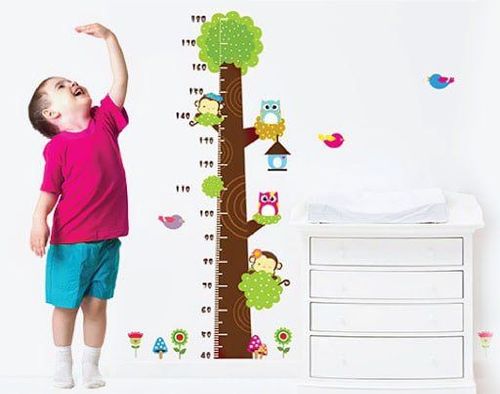 Baby standard height and weight chart