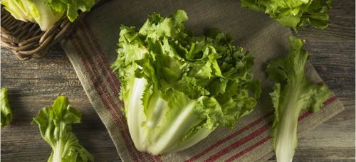 What is escarole and how is it eaten?