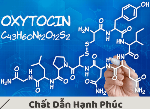 
Hormone Oxytocin giúp cho cảm giác lên đỉnh mạnh mẽ hơn bao giờ hết
